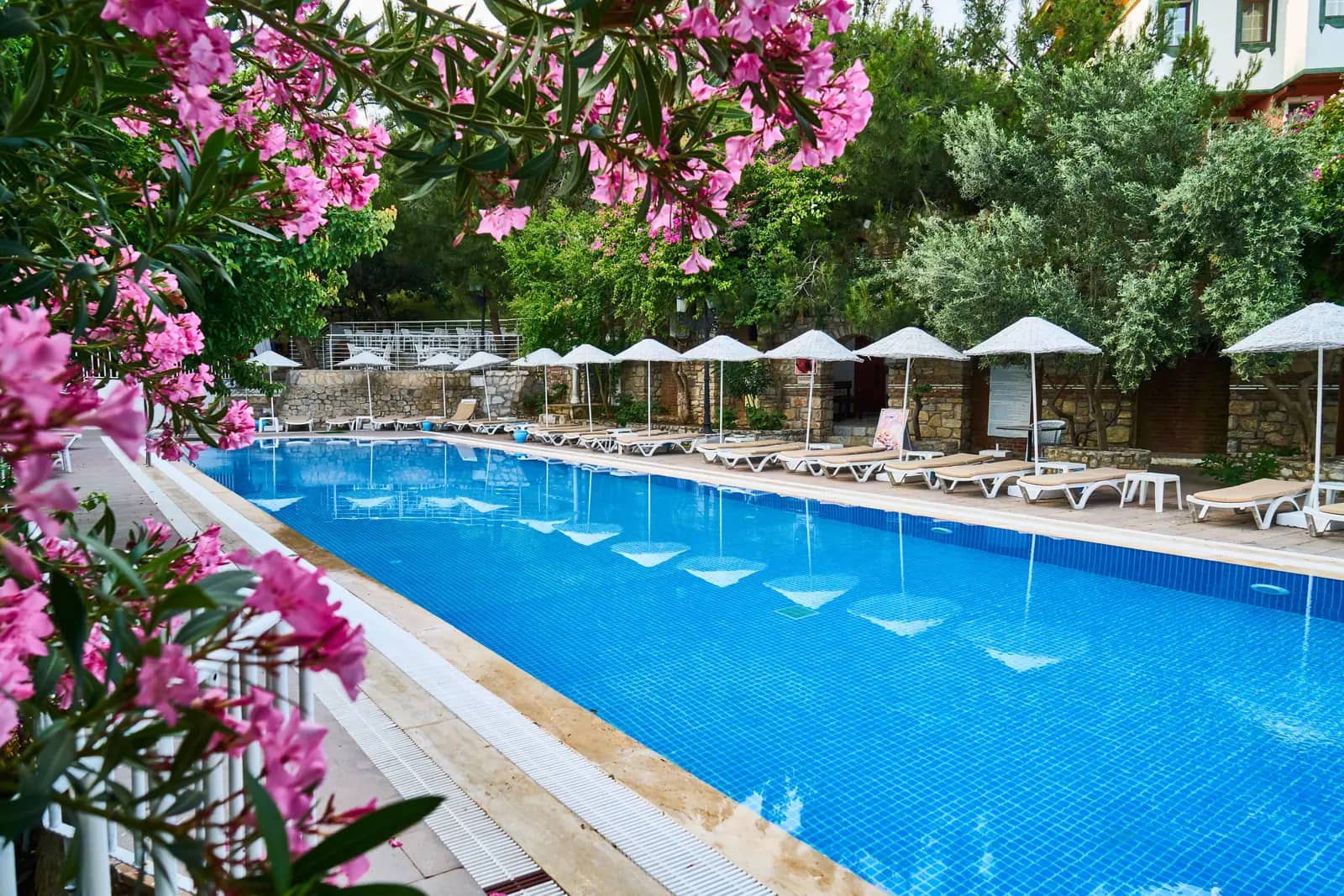 Resort pool with rows of sun loungers and parasols along the deck